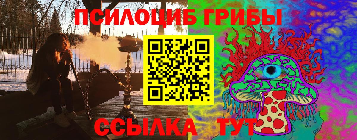 Псилоцибиновые грибы GOLDEN TEACHER Уссурийск